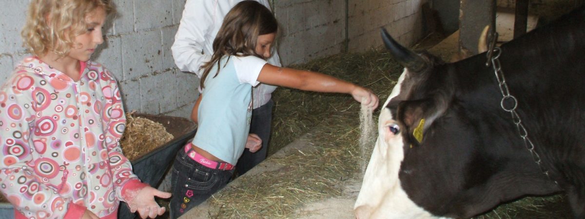 Die Kuh macht muu... und was weißt du? Kindergeburtstage auf dem Bauernhof