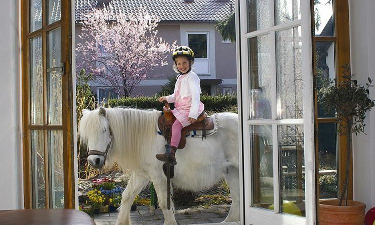 Call a Pony